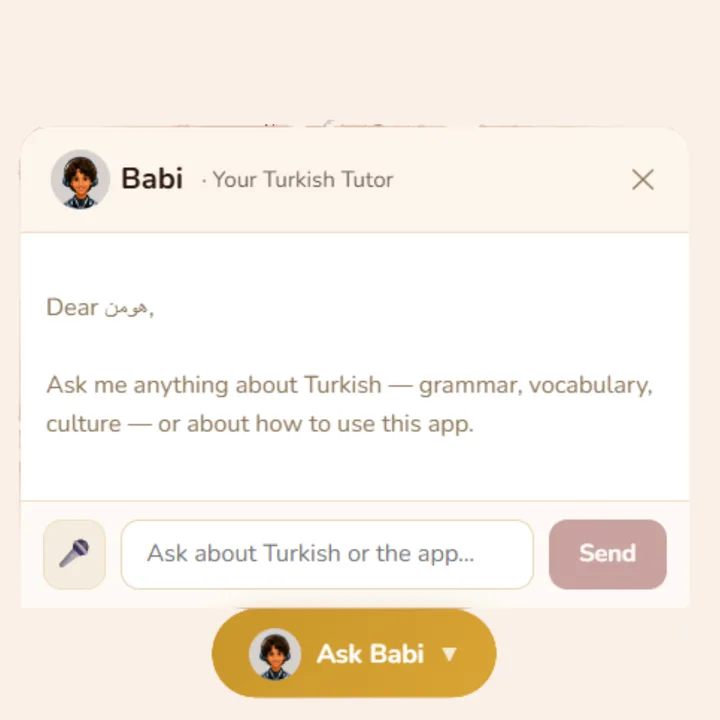 The Ask Babi chat window, where Babi invites you to ask anything about Turkish grammar, vocabulary, culture or the app